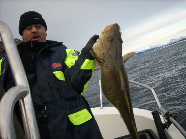 177bw7id330l9aq6i1ya