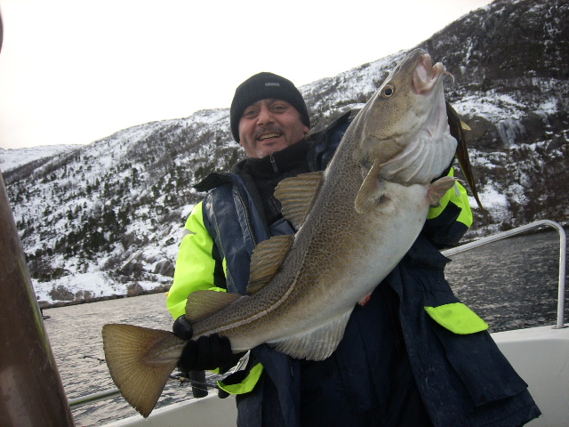 3yst4wvd268ajqzpiv44