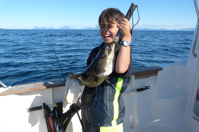 5qej96sevtoku5ga25v2