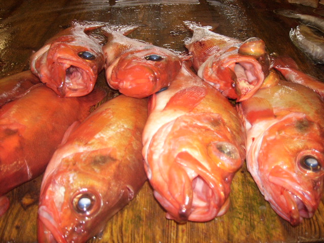 9jqg72slktkpd7w48mc1