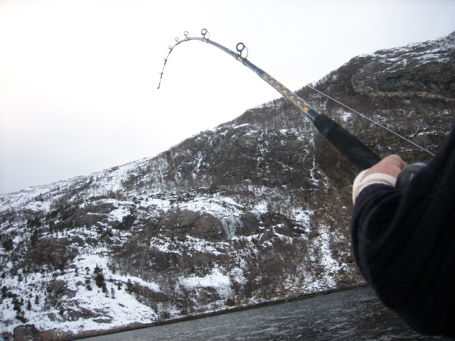 f5mfuomupvij4cm7o7i0