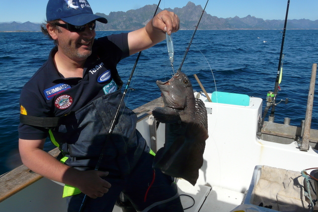 kabelvag310juli08015vf1