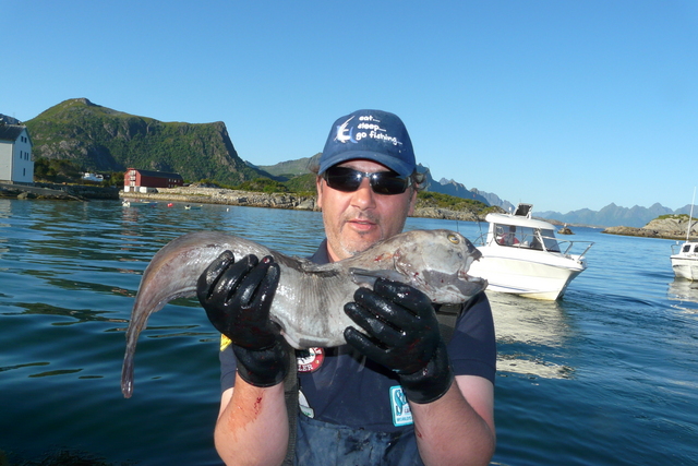 kabelvag310juli08100pf9