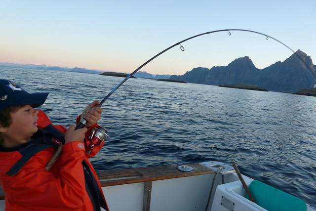 kabelvag310juli08128wj1