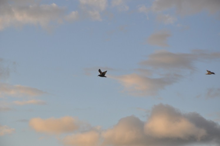 Norway 2011 183 [1600x1200]