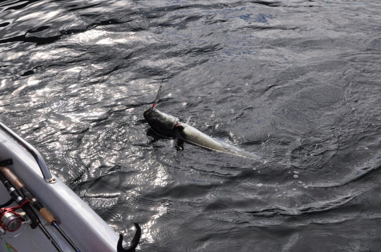 Norway 2011 291 [1600x1200]