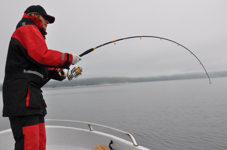 Norway 2011 445 [1600x1200]