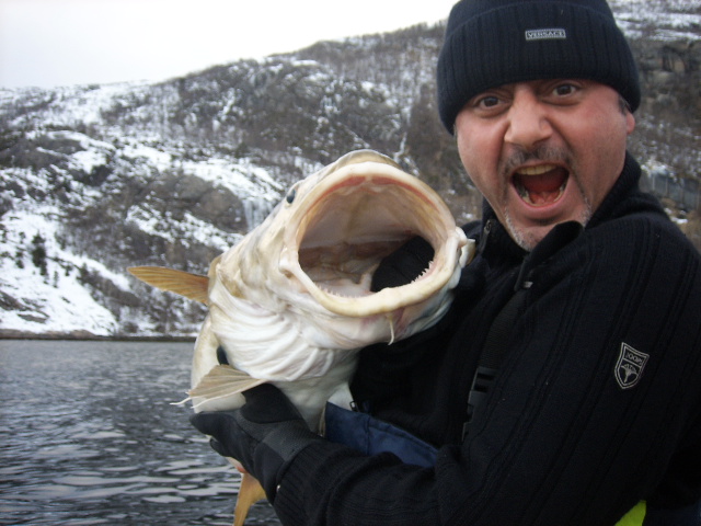 r8jkghgvusieda8wq9a (2)