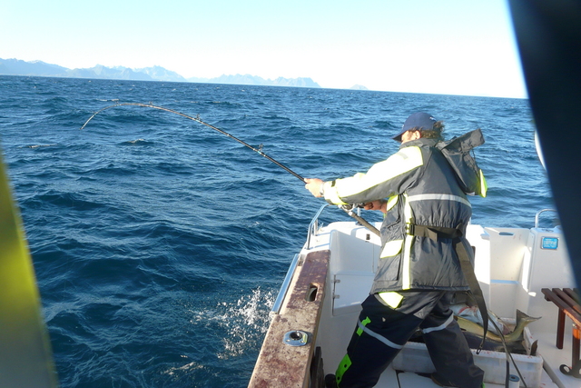 teamt1kabelvag320gh6