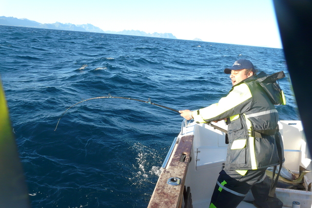 teamt1kabelvag321sb7