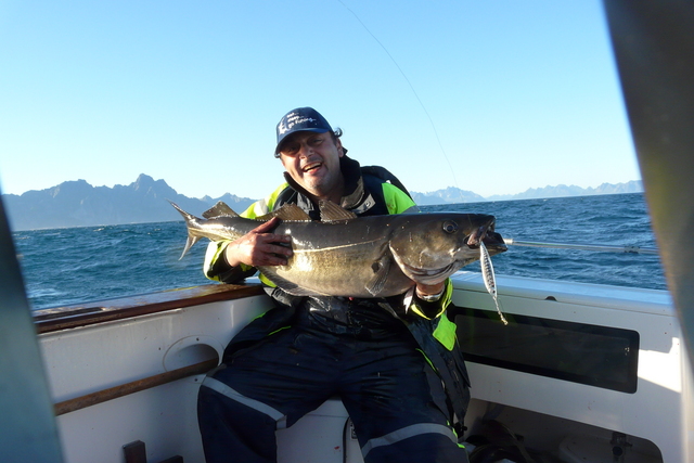 teamt1kabelvag342gp3