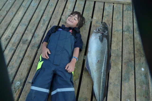 teamt1kabelvag363ue6