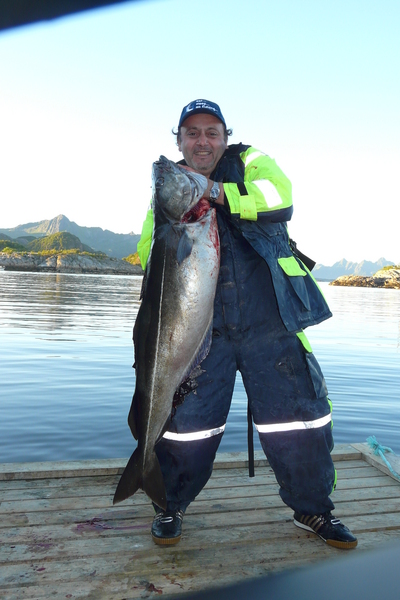 teamt1kabelvag371qv5