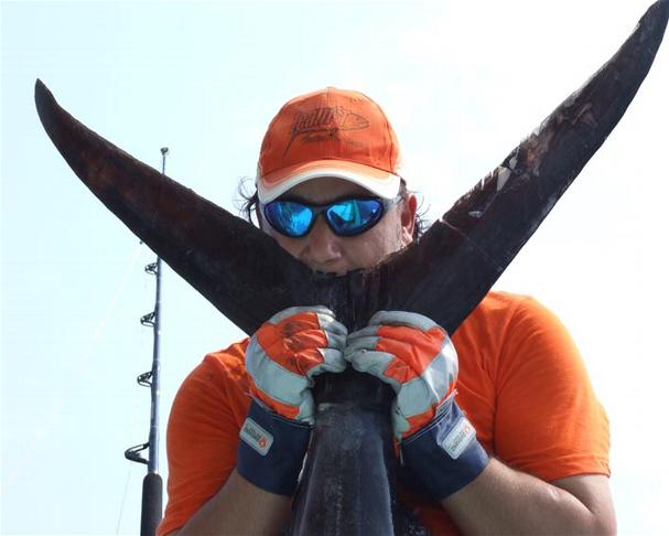 _wsb_607x486_Male+2+$5BDesktop+Aufl$C3$B6sung$5D (2)