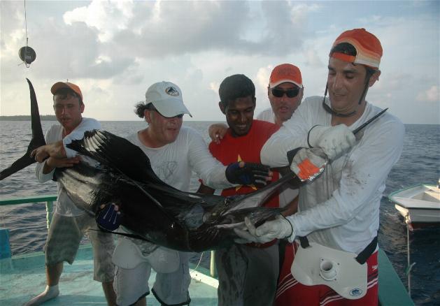 _wsb_629x438_DSC_0268+$5BDesktop+Aufl$C3$B6sung$5D