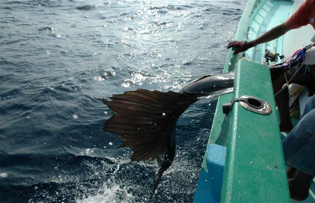 _wsb_631x407_DSC_0905+$5BDesktop+Aufl$C3$B6sung$5D