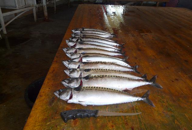 _wsb_632x427_Marcrelle+gruppe