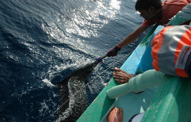 _wsb_633x403_DSC_0895+$5BDesktop+Aufl$C3$B6sung$5D