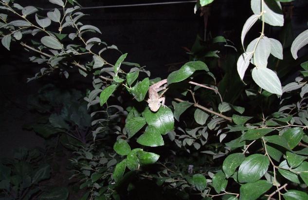 _wsb_633x411_DSCF3960+$5BDesktop+Aufl$C3$B6sung$5D