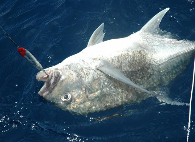 _wsb_633x462_DSC_0181+$5BDesktop+Aufl$C3$B6sung$5D