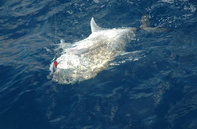 _wsb_634x417_DSC_0180+$5BDesktop+Aufl$C3$B6sung$5D