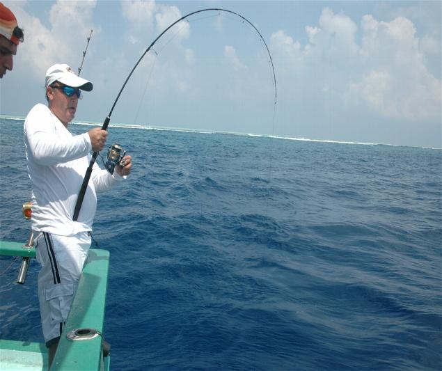 _wsb_635x533_DSC_0161+$5BDesktop+Aufl$C3$B6sung$5D