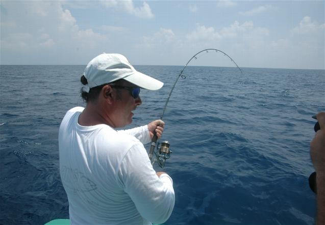 _wsb_637x441_DSC_0146+$5BDesktop+Aufl$C3$B6sung$5D