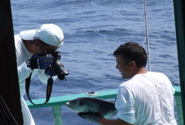 _wsb_638x432_DSCF4389+$5BDesktop+Aufl$C3$B6sung$5D