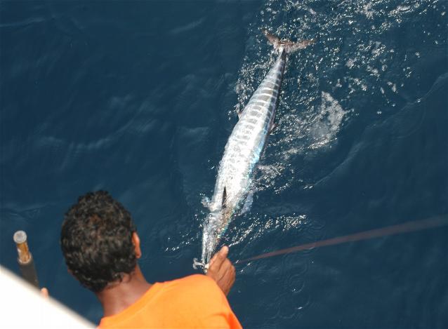 _wsb_638x469_DSC_0493+$5BDesktop+Aufl$C3$B6sung$5D