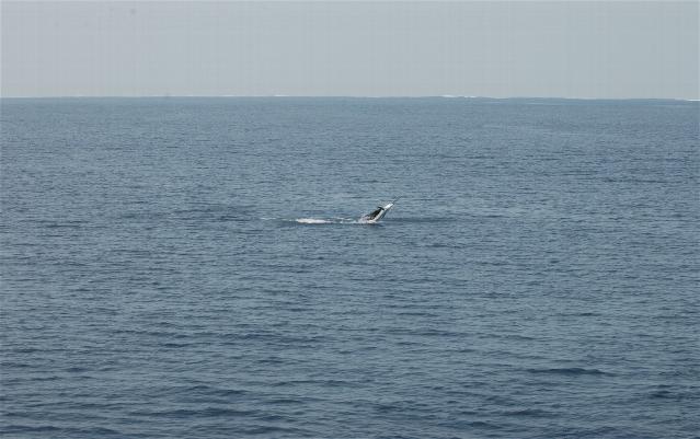 _wsb_639x401_DSC_0432+$5BDesktop+Aufl$C3$B6sung$5D (2)