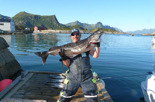 _wsb_640x421_Record1