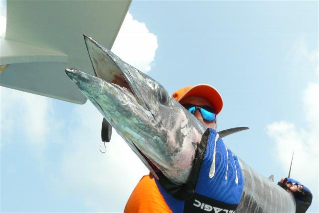 _wsb_640x428_P1080278+$5BDesktop+Aufl$C3$B6sung$5D