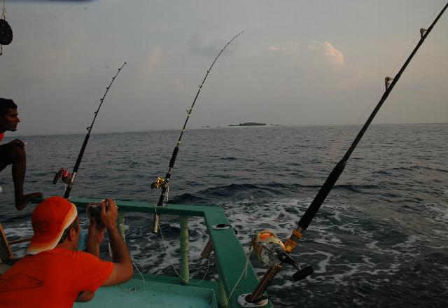 _wsb_640x440_DSC_0238