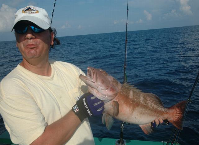 _wsb_641x468_DSC_0297+$5BDesktop+Aufl$C3$B6sung$5D