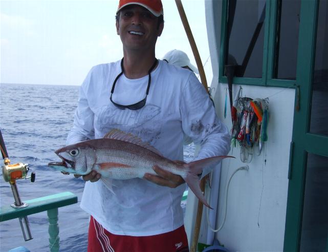 _wsb_641x492_DSCF4423+$5BDesktop+Aufl$C3$B6sung$5D (2)