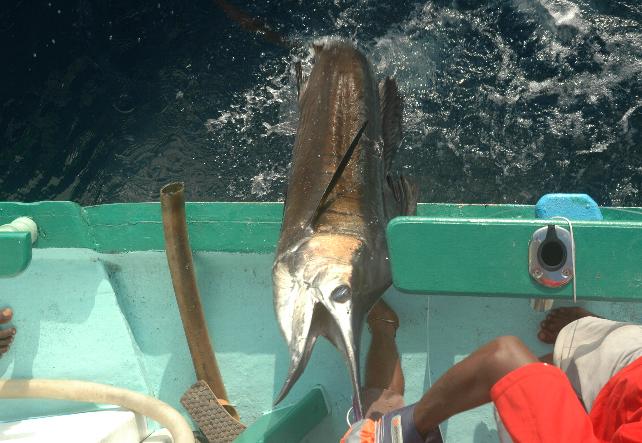 _wsb_642x443_DSC_0242