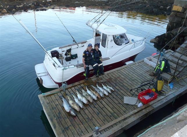 _wsb_643x473_teamt1kabelvag379yn1