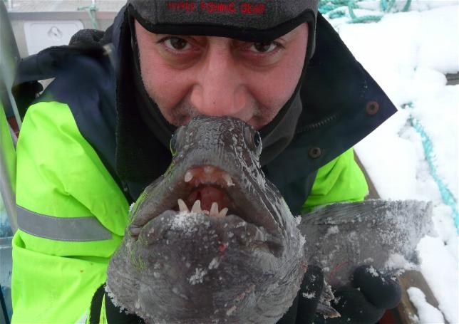 _wsb_644x455_Hav$C3$B6y3+069+$5BDesktop+Aufl$C3$B6sung$5D