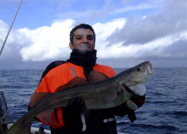 _wsb_644x462_Hav$C3$B6y+2+266+$5BDesktop+Aufl$C3$B6sung$5D