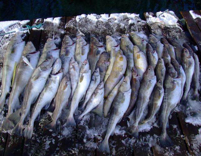 _wsb_644x502_Hav$C3$B6y+2+278+$5BDesktop+Aufl$C3$B6sung$5D