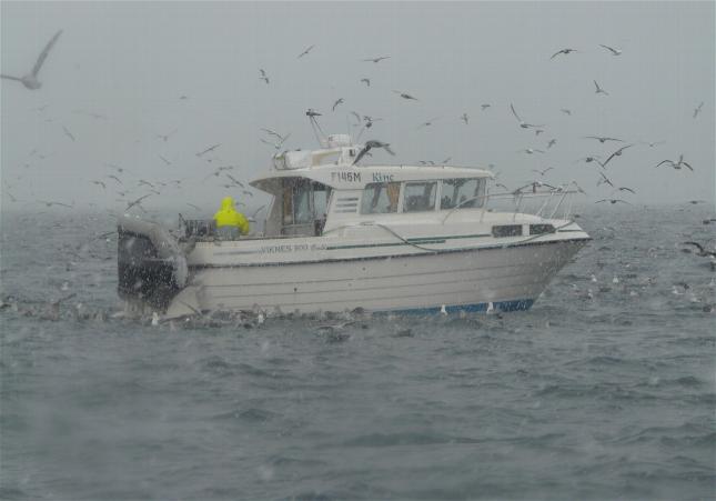 _wsb_645x451_Hav$C3$B6y3+060+$5BDesktop+Aufl$C3$B6sung$5D