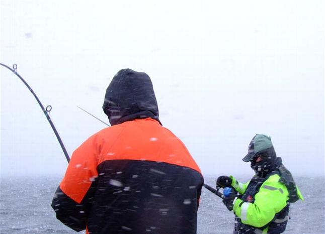 _wsb_646x466_Hav$C3$B6y+2+128+$5BDesktop+Aufl$C3$B6sung$5D