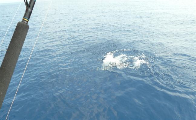 _wsb_648x396_P1080262+$5BDesktop+Aufl$C3$B6sung$5D