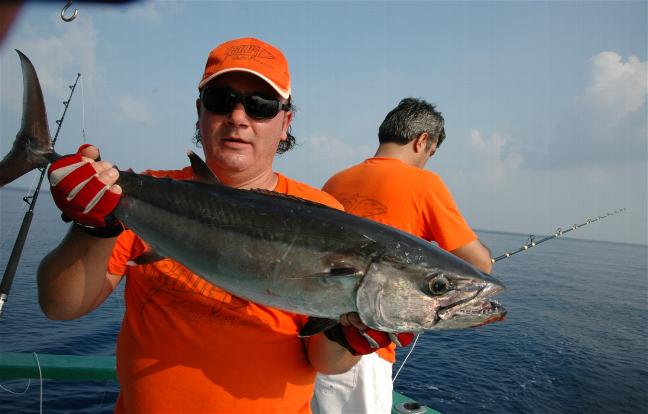 _wsb_648x414_DSC_0219+$5BDesktop+Aufl$C3$B6sung$5D