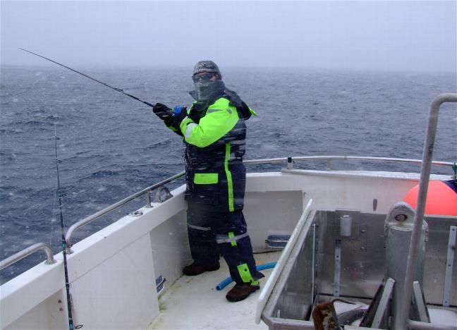 _wsb_648x468_Hav$C3$B6y+2+236+$5BDesktop+Aufl$C3$B6sung$5D