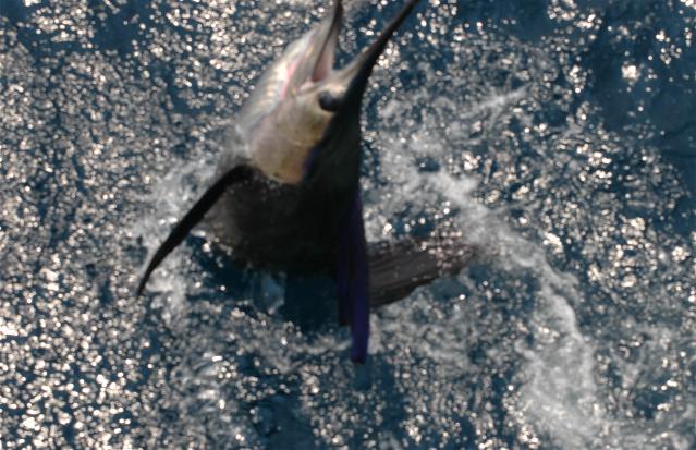 _wsb_639x413_DSC_0458+$5BDesktop+Aufl$C3$B6sung$5D