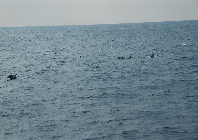 _wsb_639x451_DSC_0930+$5BDesktop+Aufl$C3$B6sung$5D