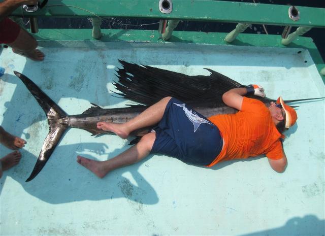 _wsb_640x465_IMG_3507+$5BDesktop+Aufl$C3$B6sung$5D (2)