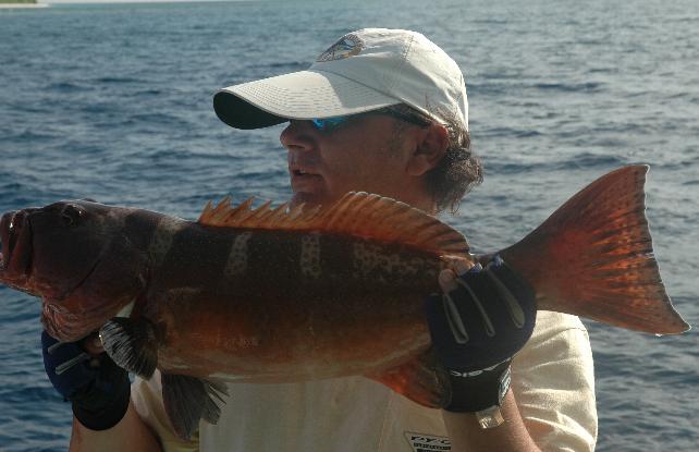 _wsb_642x415_DSC_0294