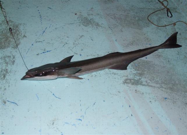 _wsb_642x464_DSCF4365+$5BDesktop+Aufl$C3$B6sung$5D